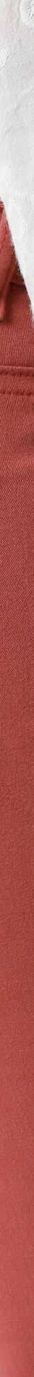 Modellerende broek met 5 zakken (terracotta) Modellerende broek met 5 zakken (terracotta)